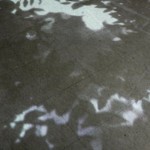 http://yotimfmnwvs1fjit.app.lightizm.com/files/gimgs/th-76_71_Nostalgia1_v2.jpg