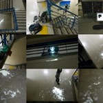 http://yotimfmnwvs1fjit.app.lightizm.com/files/gimgs/th-76_71_Nostalgia4_v2.jpg